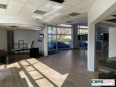 A louer local commercial lumineux 300m² centre Dax