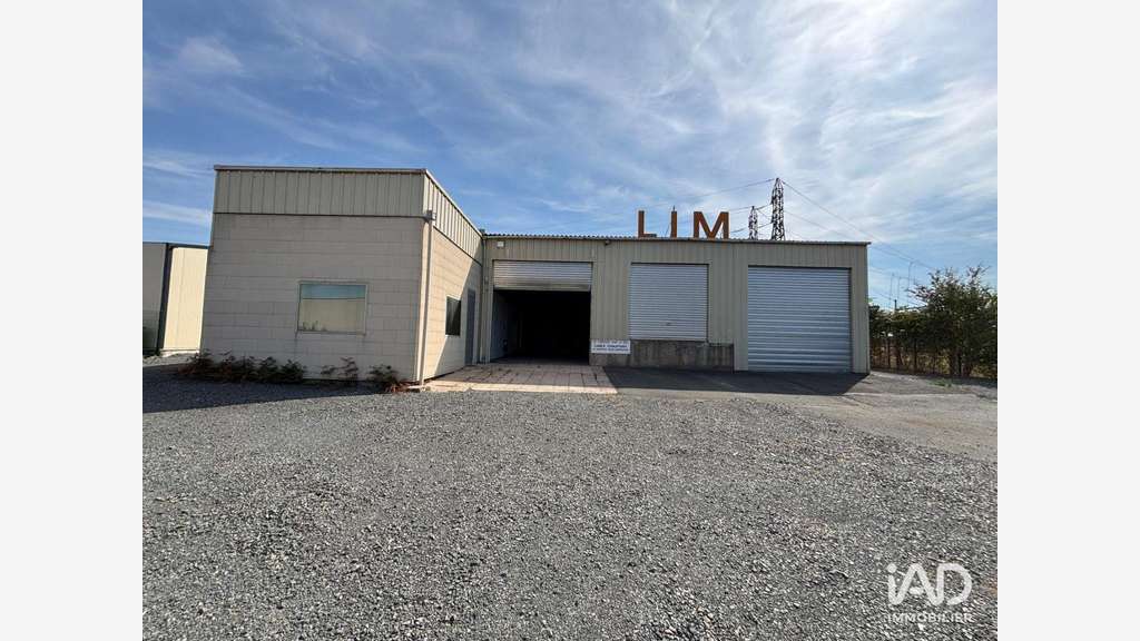 A louer hangar d'activité 500m² à Doué-la-Fontaine