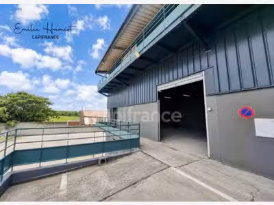 A louer local activité 110m² ZI Champigny à Ducos
