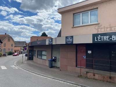 Location Locaux commerciaux - Boutiques à Eckbolsheim