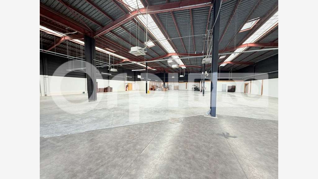 A louer cellule 1145m² Retail Park de Gonfreville