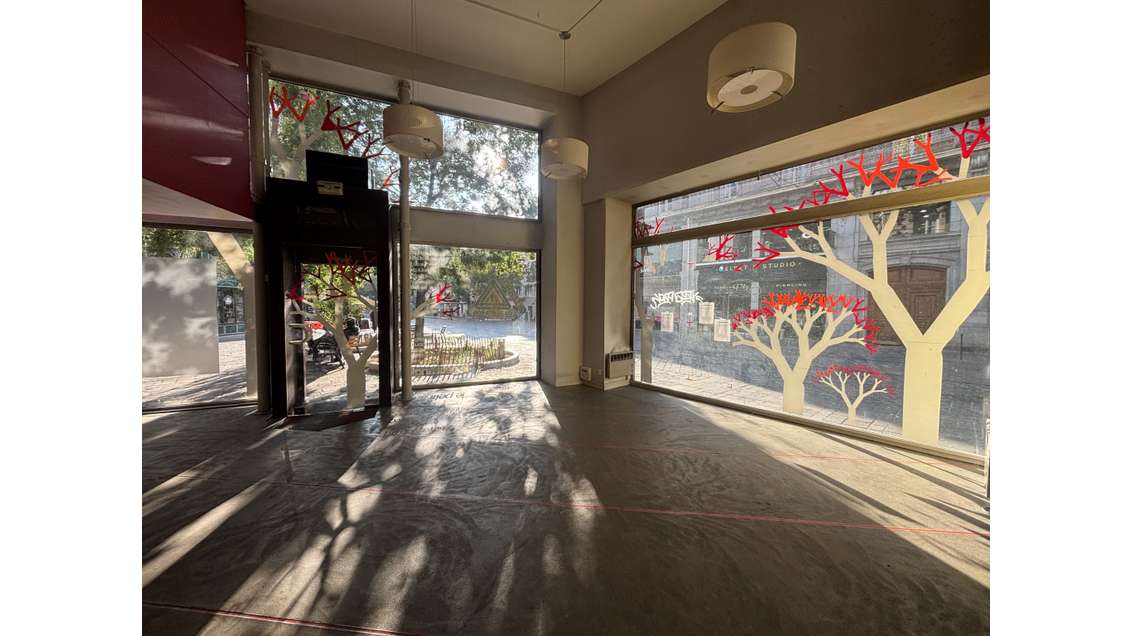 A louer local commercial 260m² Grenoble Rue Carnot