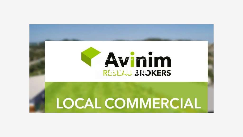 LOCAL COMMERCIAL