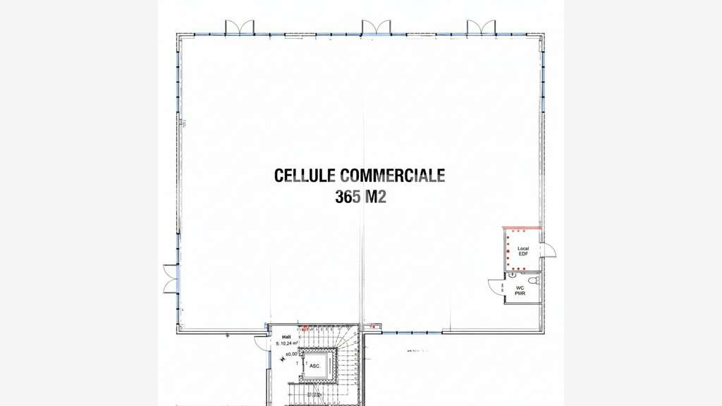 Locaux commerciaux neufs 365m² à louer à Labenne 