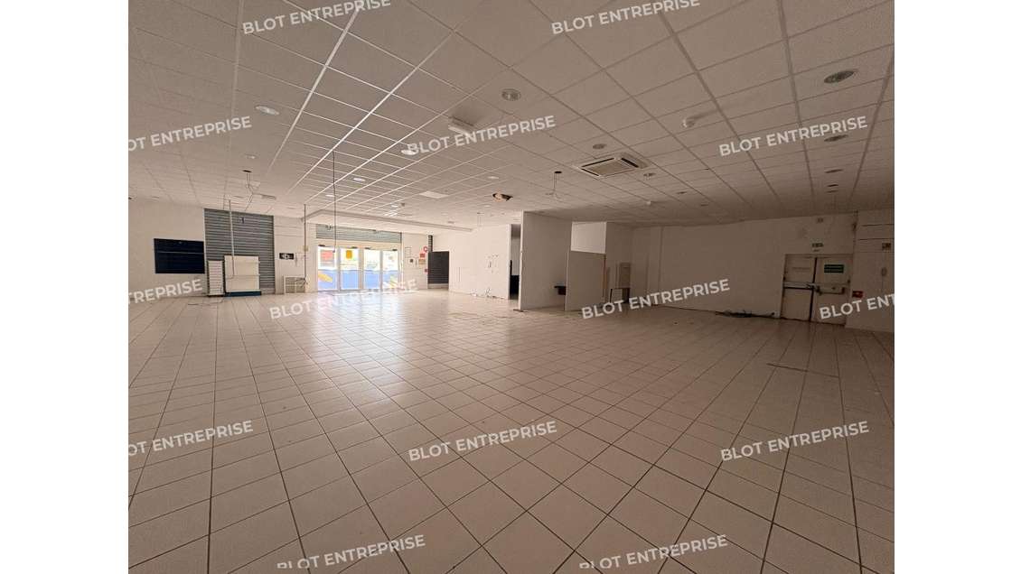 A LOUER - LOCAUX COMMERCIAUX 393 m² LANGUEUX