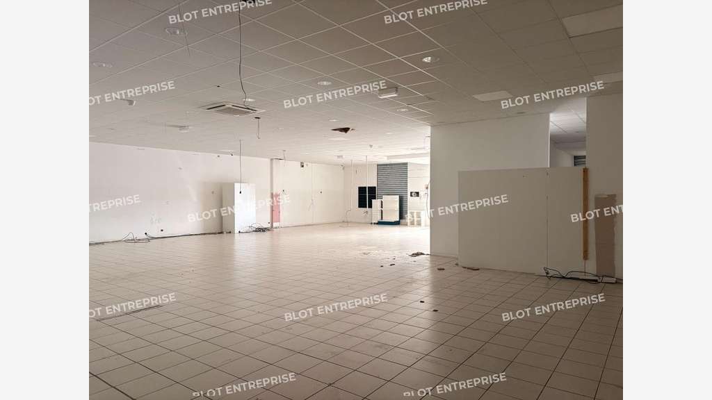A louer locaux commerciaux 393m² ZAC Langueux