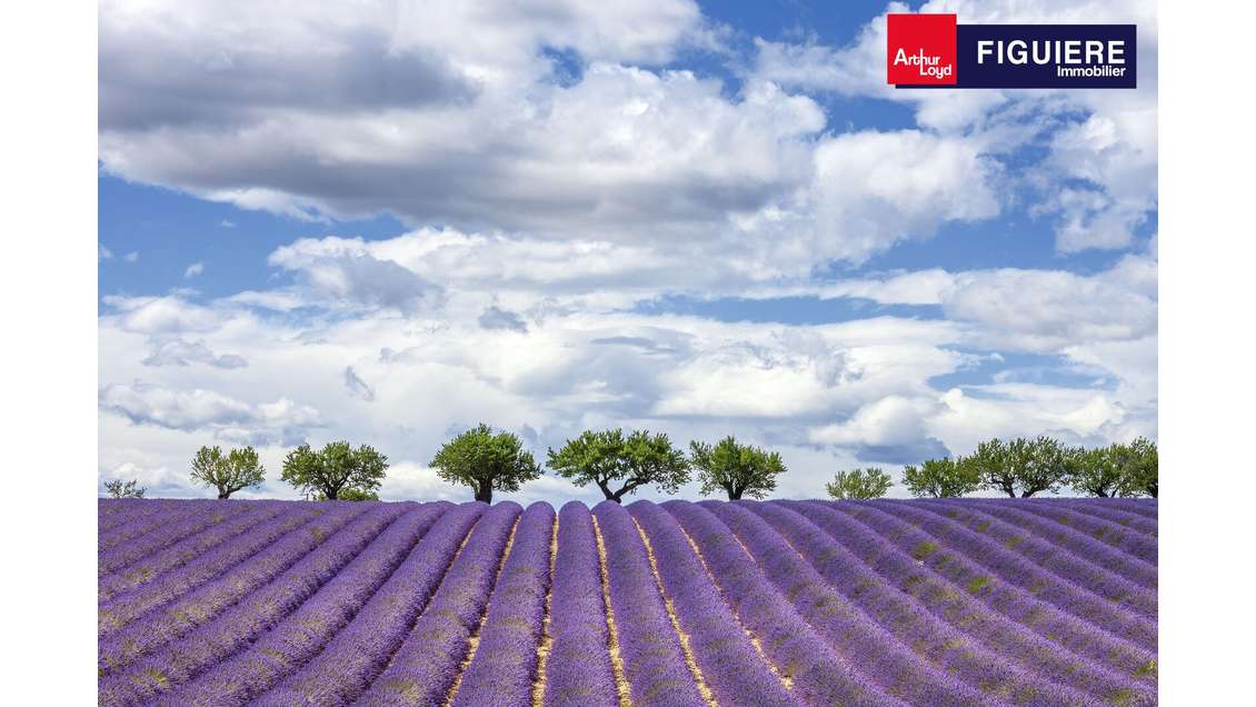 Local 341m² divisible à louer au Tholonet Celony