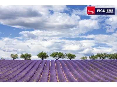 Location Locaux commerciaux - Boutiques au Tholonet