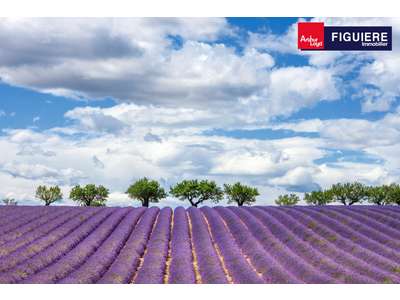 Location Locaux commerciaux - Boutiques à Aix-en-Provence