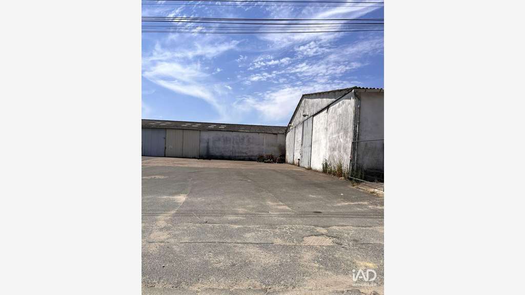 A louer dépôt de 1500m² en za aux Ponts-de-Cé