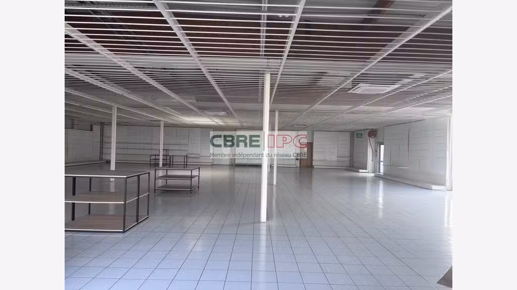 Location local commercial 691m² à Lescar Monhauba