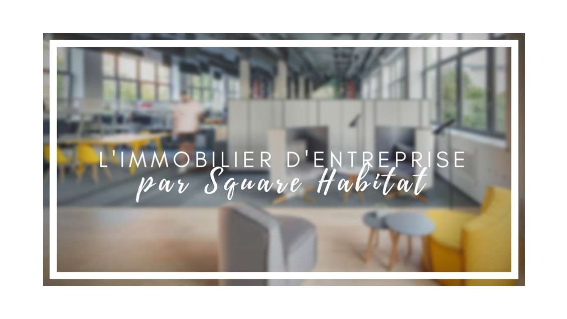 Très beau local neuf dans un retail park à Lure