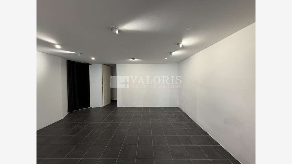 Location local 113m² en rue piétonne à Lyon 1er