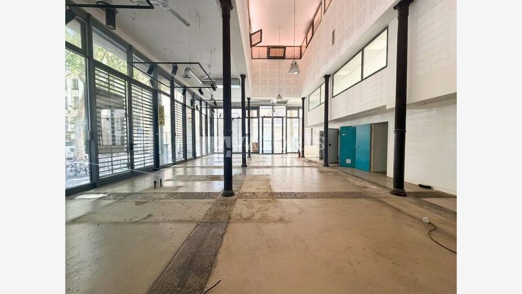 A louer local 220m² à Lyon 1er la Martinière