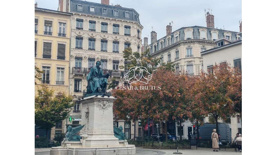 Local 50m² à louer à Lyon 2eme Ainay