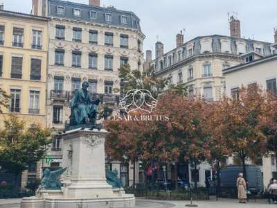 Location Locaux commerciaux - Boutiques à Lyon 2e
