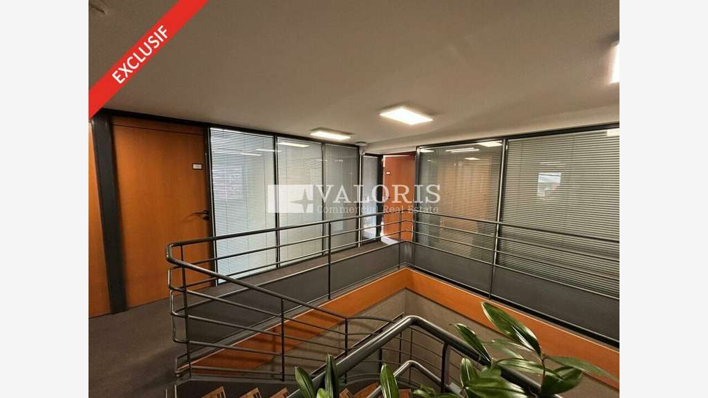 Location beau local 250m² Lyon 2e Place Bellecour
