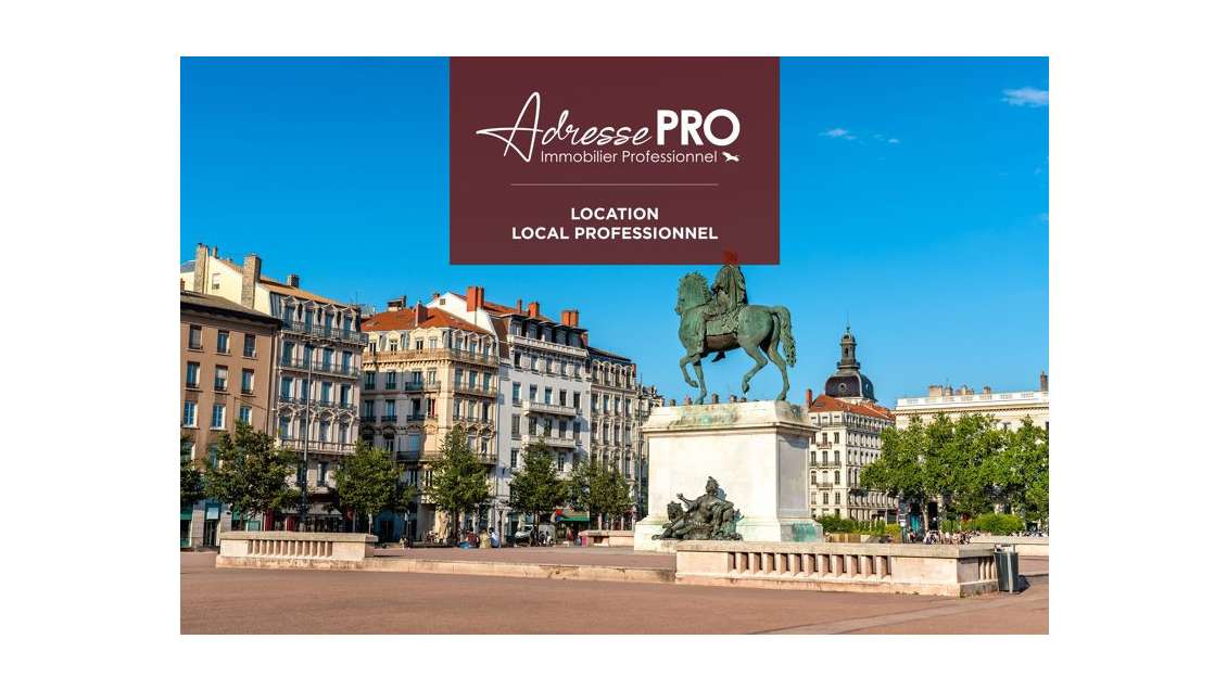 A louer bureaux rénovés de 84m² en RDC Lyon 69003