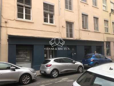 Location Locaux commerciaux - Boutiques à Lyon 4e