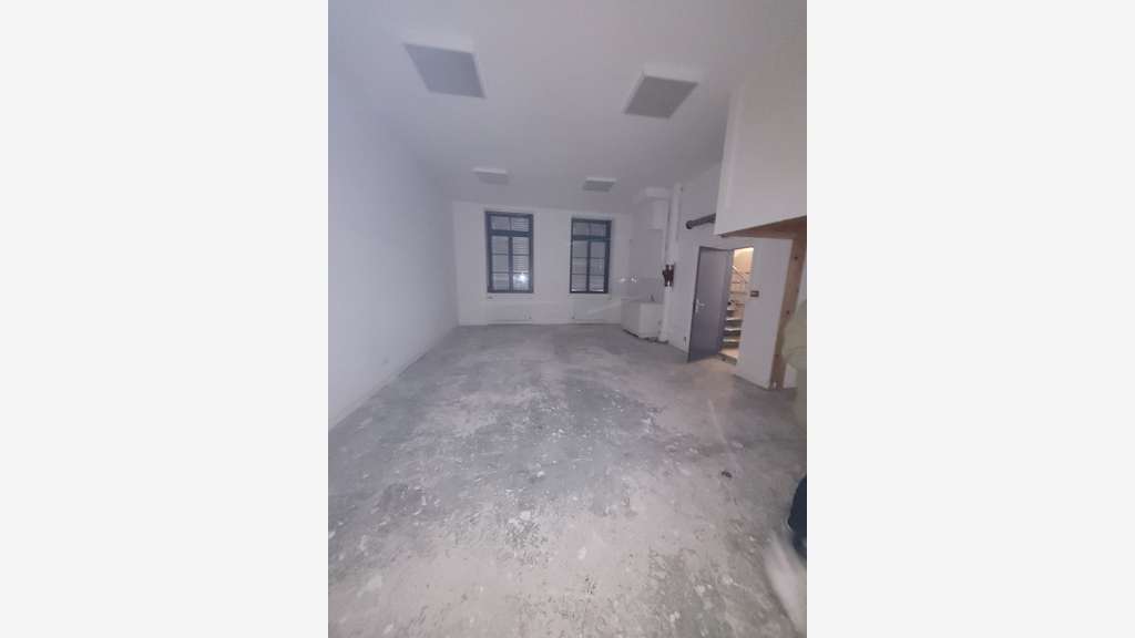 Loue local 250m² avec jardin privatif à Lyon 69004