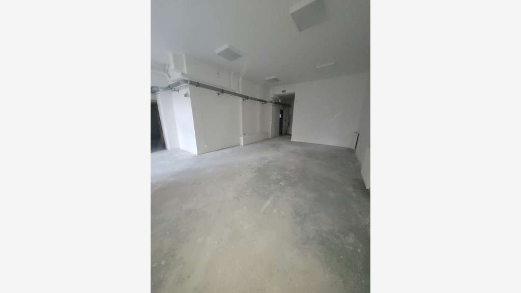 Loue local 250m² avec jardin privatif à Lyon 69004