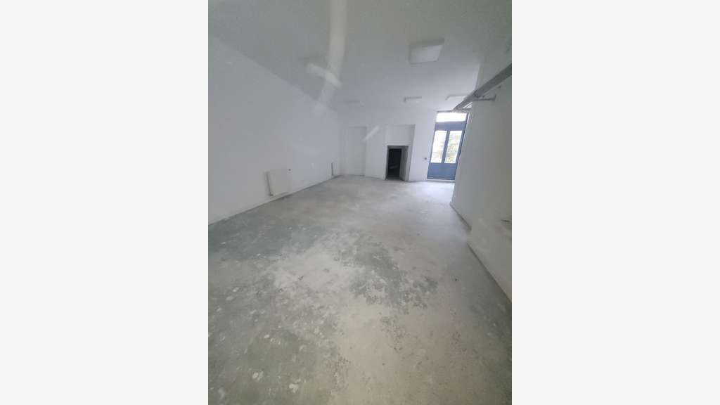 Loue local 250m² avec jardin privatif à Lyon 69004