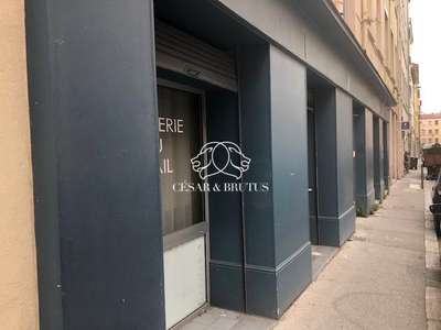 Location Locaux commerciaux - Boutiques à Lyon 4e