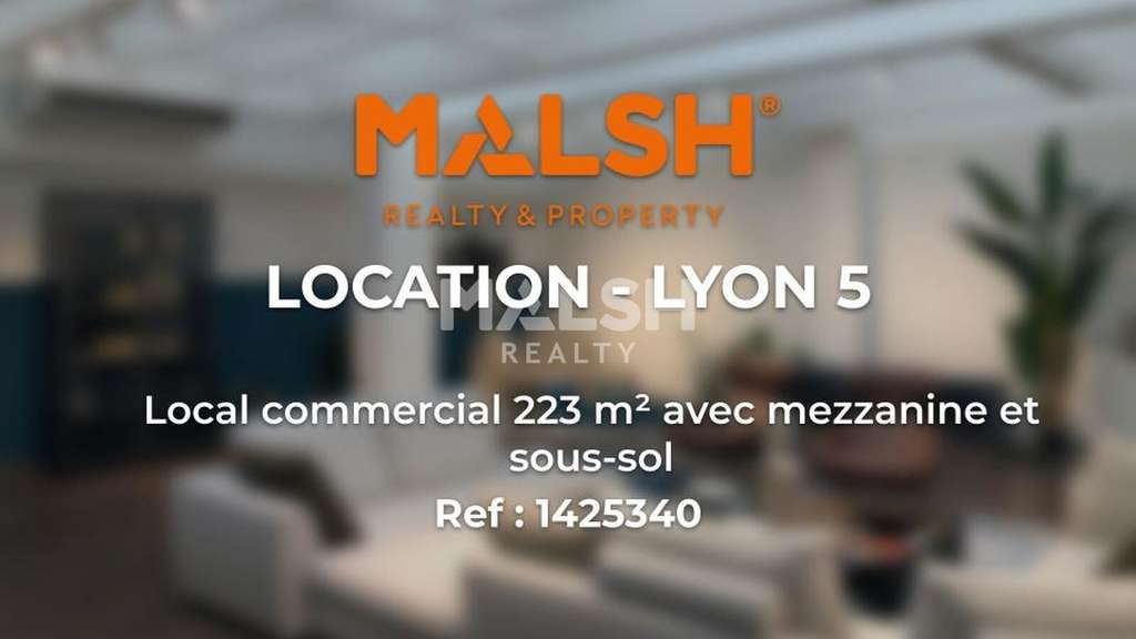 A louer local 223m² avec mezzanine à Lyon 5e