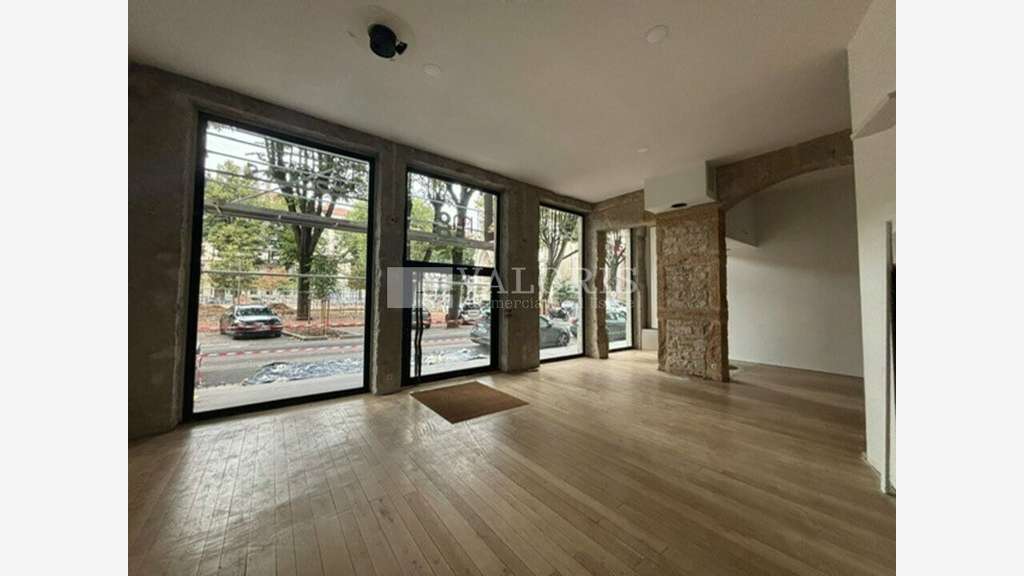 A louer local 185m² Lyon 6e PL. Puvis de Chavanne