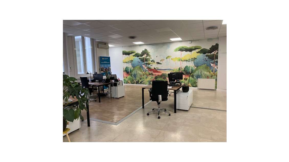 LYON 69006 - Avenue Foch - Beaux Bureaux climati