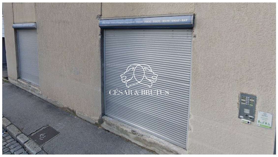 Immobilier Professionnel à louer Lyon