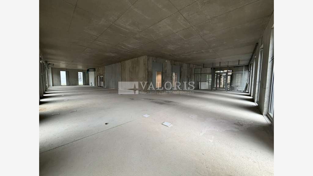 Locaux commerciaux à louer Lyon 8e Av Rockefeller