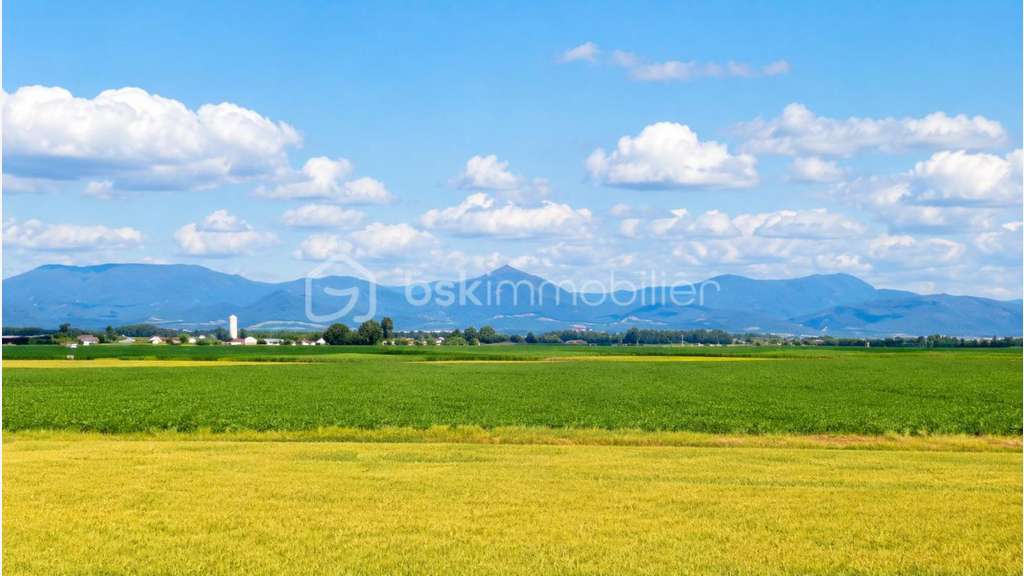 Loue ensemble immobilier de 190m² à Marckolsheim