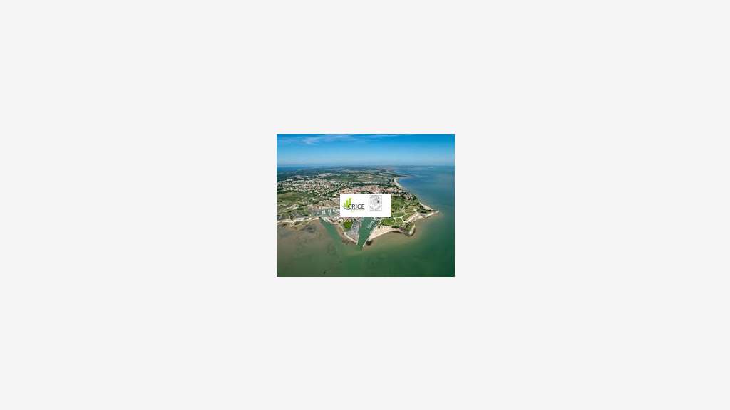 A louer local commercial 75m² proche Marennes
