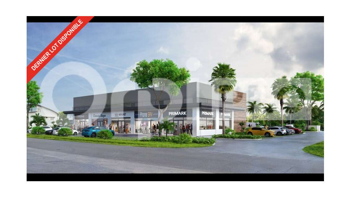 Local commercial neuf 250m²