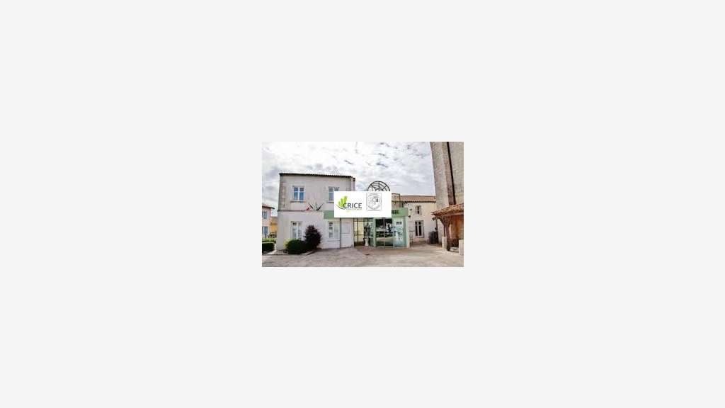 A louer 2 locaux commerciaux 165m² à Médis