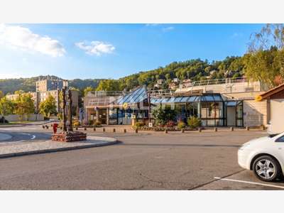 LOCAL COMMERCIAL À LOUER - 372 m² - MIRIBEL CENTRE