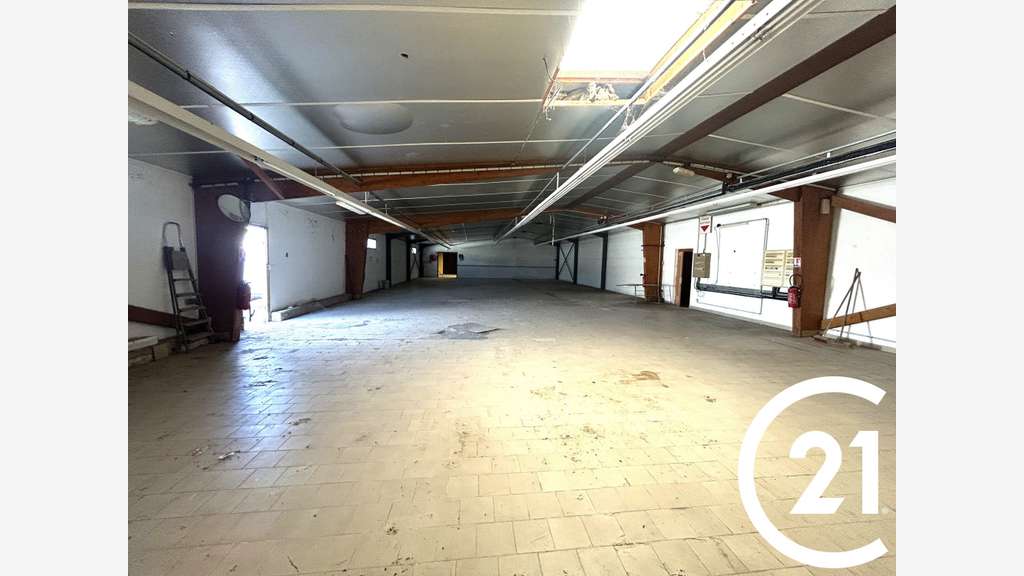 Immobilier Professionnel à louer MONTELIER