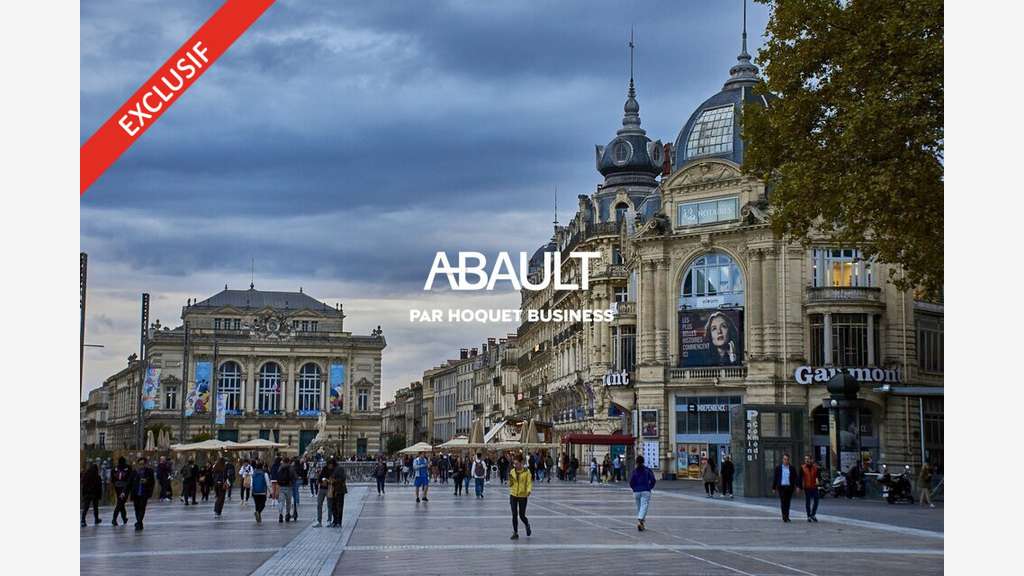 Local 251m² à louer bonne visibilité à Montpellier
