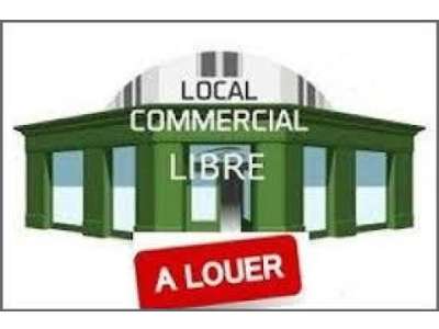 Location Locaux commerciaux - Boutiques à Moutiers-les-Mauxfaits