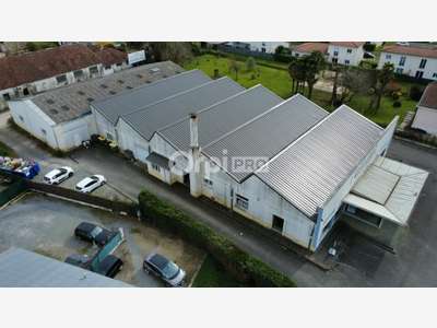Espace commercial 1000m² à louer à Pau Indus Nord