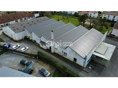 Location Locaux commerciaux - Boutiques à Pau