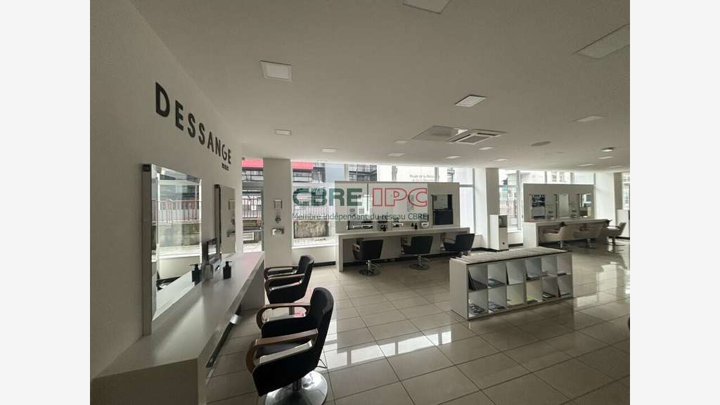 Location local 310m² centre-ville de Pau Bosquet