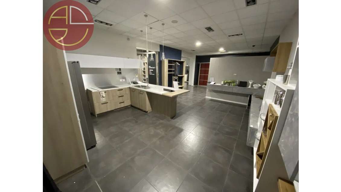 Location local commercial 500m² Portet sur Garonne