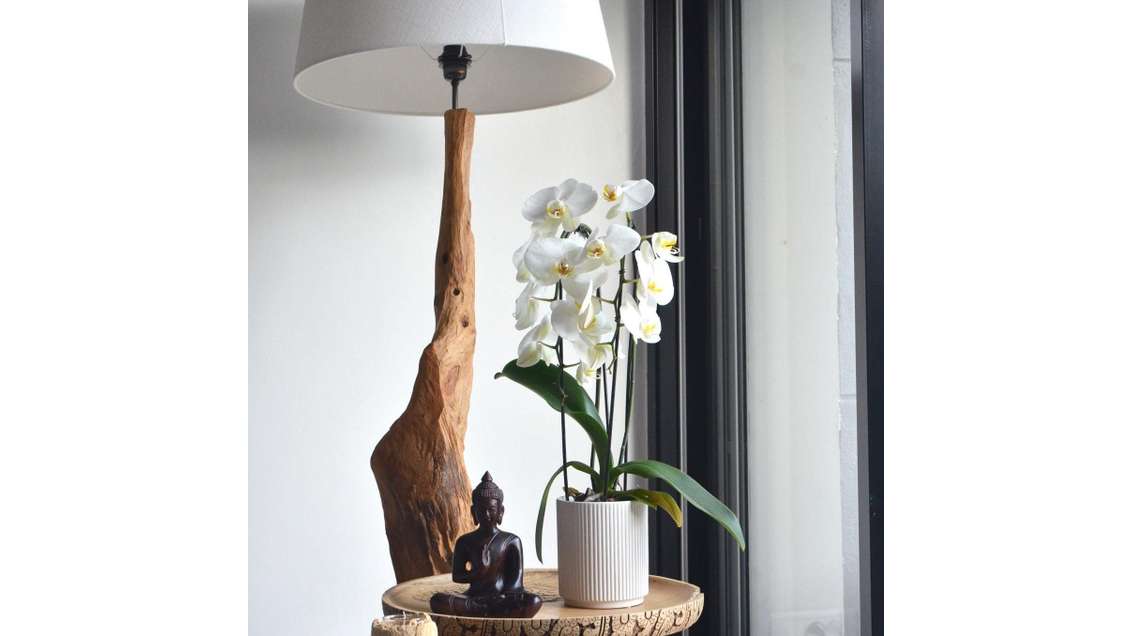 A louer local commercial 35m² au nord de Vannes