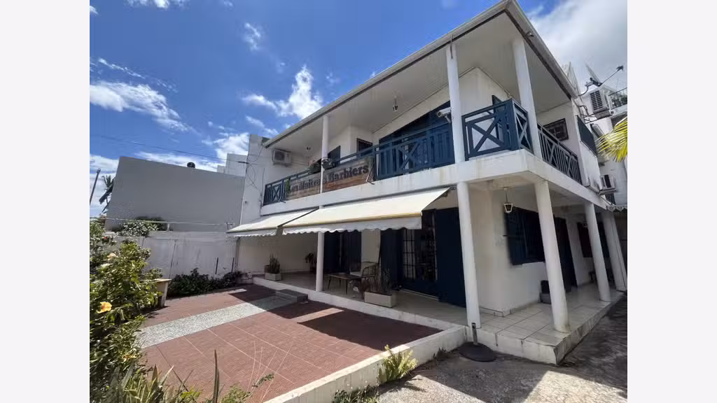 Maison de ville F4 140 m² en location professionne