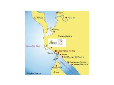 Location Locaux commerciaux - Boutiques à Saint-Palais-sur-Mer