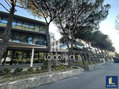 A louer local commercial 521m² à Sophia Antipolis