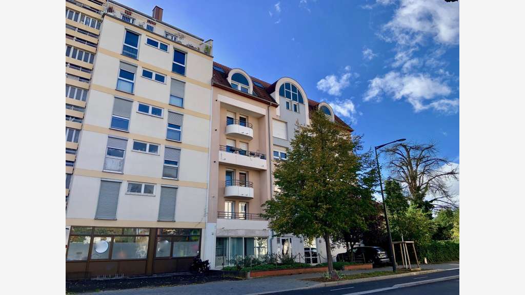 Strasbourg Koenigshoffen locaux commerciaux et pro