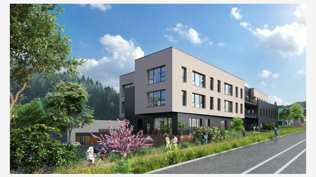A louer locaux 34 000m² Tarare pôle éco A89